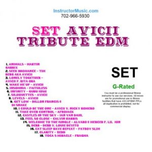 SET Avicii Tribute EDM